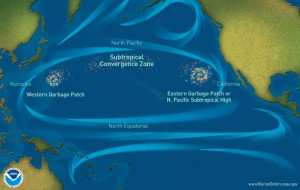 Pacific-garbage-patch-map